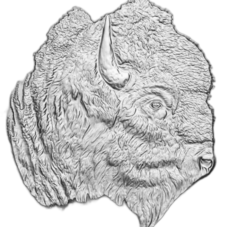 1.25 troy ounce silver coin Bison various years angle 3