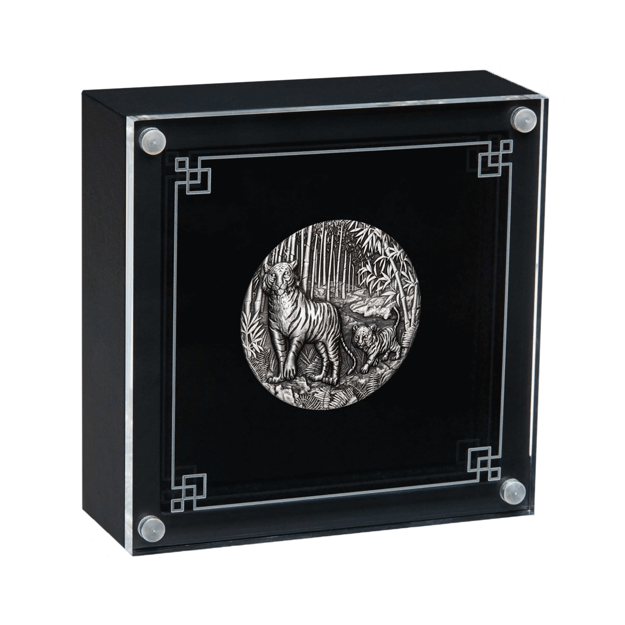 2-troy-ounce-zilveren-munt-