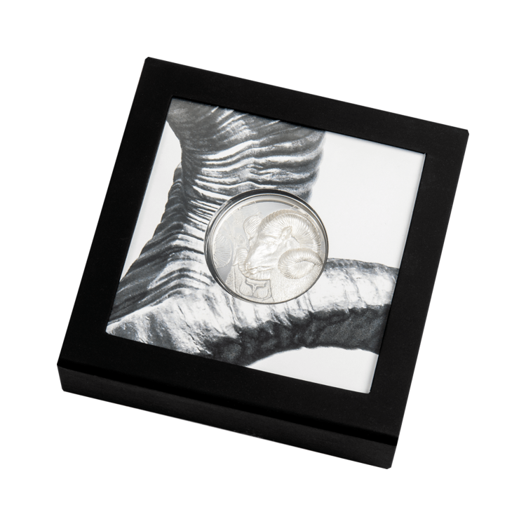 1 troy ounce silver coin Magnificent Argali 2022 Proof angle 2