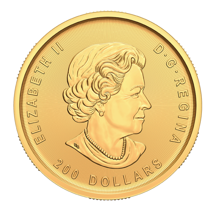1 troy ounce gouden munt klondike gold rush prospecting back