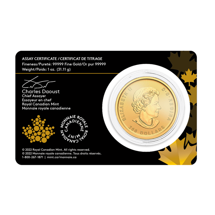 1 troy ounce gouden munt klondike gold rush prospecting angle 1