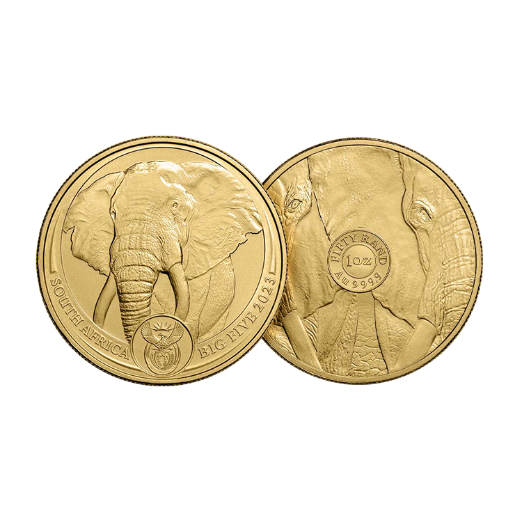 1 troy ounce gouden munt Big Five Olifant 2023 perspectief 1
