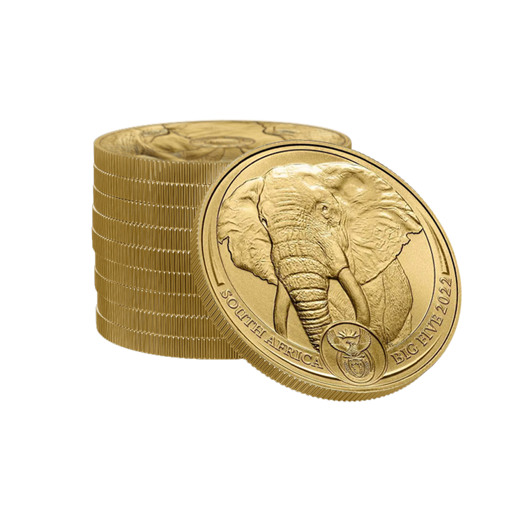 1 troy ounce gouden munt Big Five Olifant perspectief 2