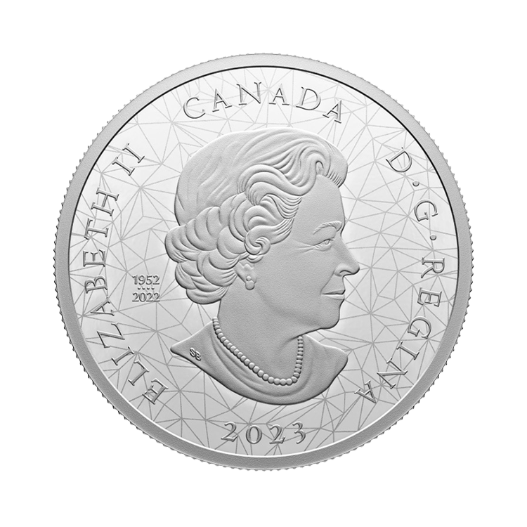 2 troy ounce silver Canada Animal Family Grizzly Bears 2023 proof coin back