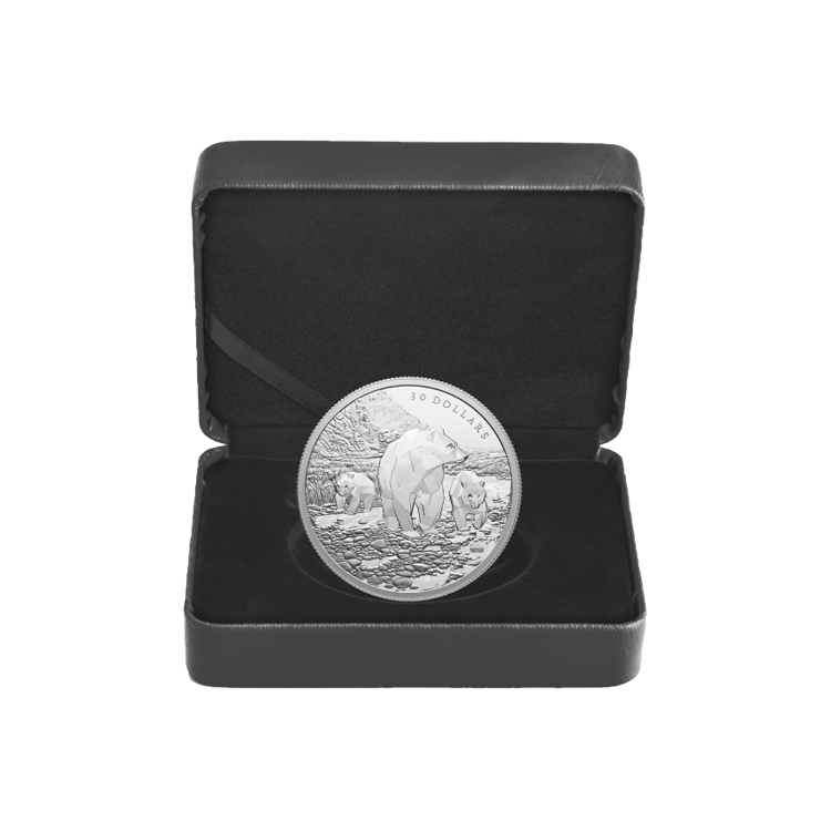2 troy ounce silver Canada Animal Family Grizzly Bears 2023 proof coin angle 2