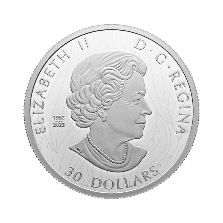 2 troy ounce zilveren Canada The Striking Bald Eagle 2023 proof munt achterkant