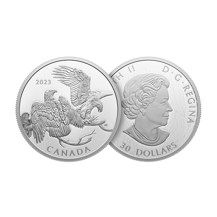 2 troy ounce zilveren Canada The Striking Bald Eagle 2023 proof munt perspectief 1