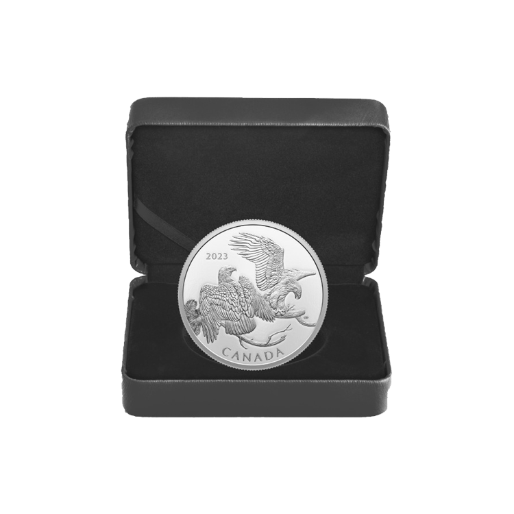 2 troy ounce zilveren Canada The Striking Bald Eagle 2023 proof munt perspectief 2