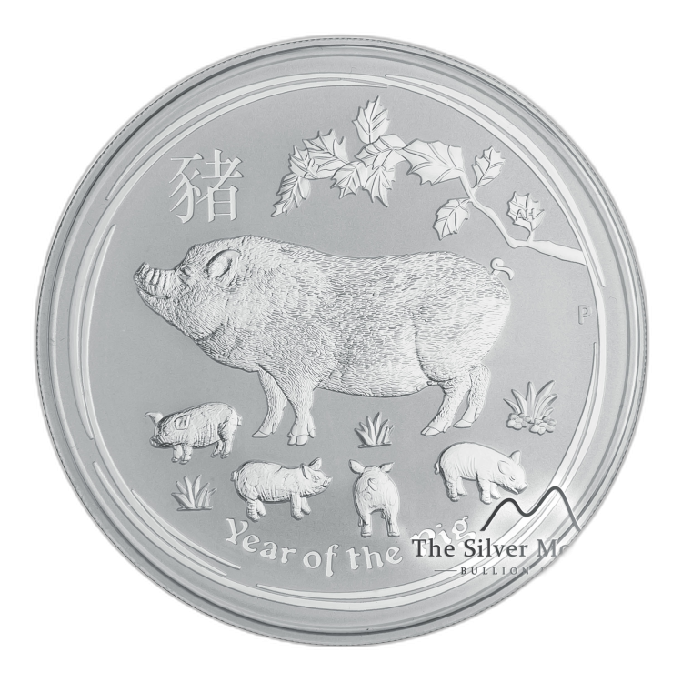 Zilveren Lunar munt jaar van het varken - 5 troy ounce 2019 voorkant
