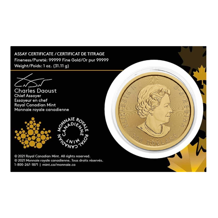1 troy ounce gouden Klondike Gold Rush munt 2021 perspectief 2