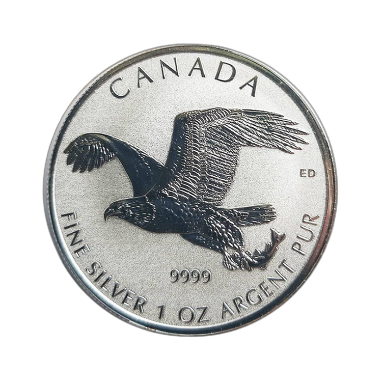 1 troy ounce zilveren munt Great Owl diverse jaargangen perspectief 2
