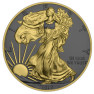 1 Troy ounce zilveren munt Golden Ring - Silver Eagle 2019 voorkant