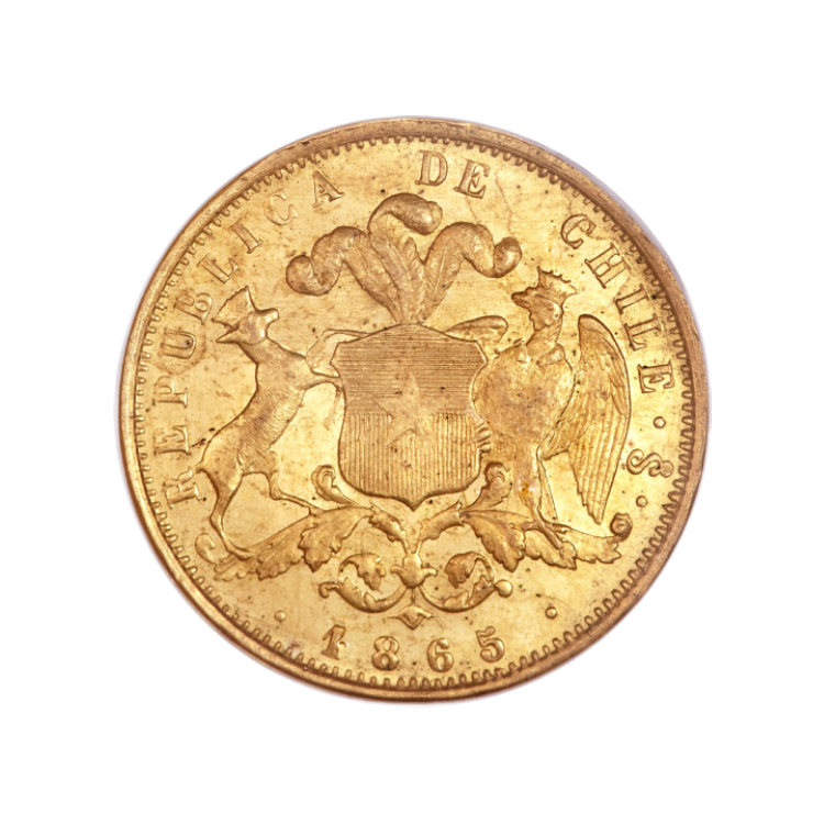 Gold 10 pesos coin from chile