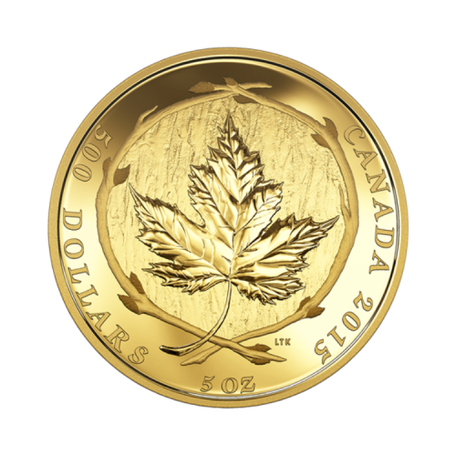 5 troy ounce gouden munt voorkant