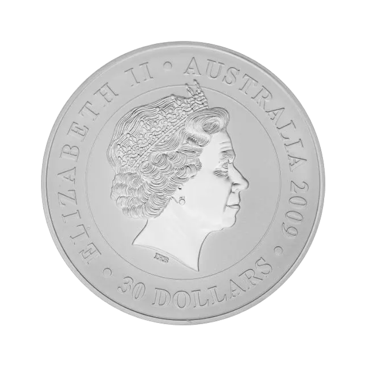 Australian Koala 1 kilo