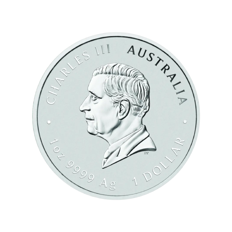 1 troy ounce Lunar III 2025 Zilver