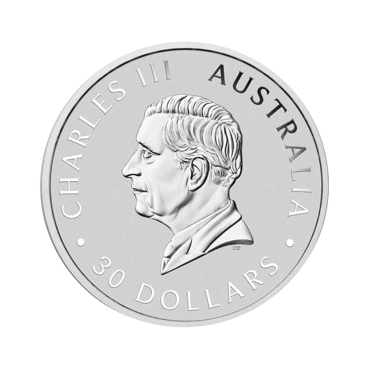 1 kilo zilveren Koala munt 2025 achterkant