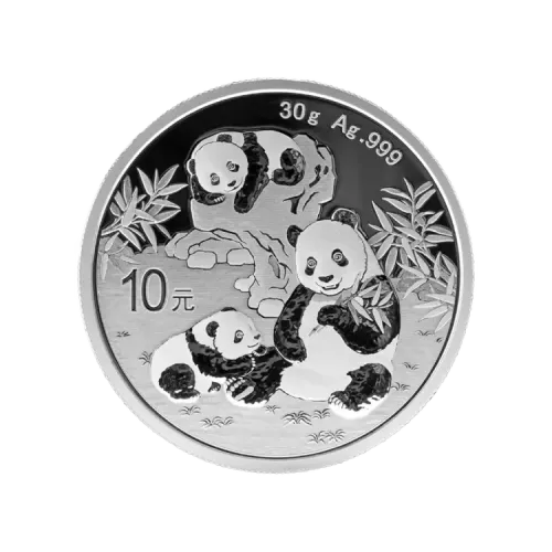 30 gram silver Panda coin 2025 front