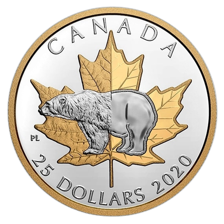 Silver coin polar bear 2020 proof front