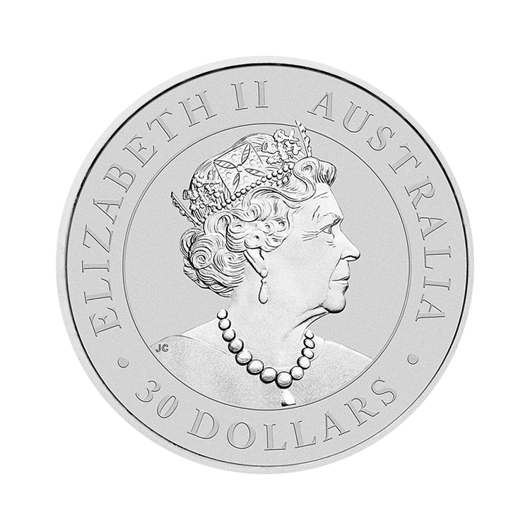 1 kg kookaburra 2022