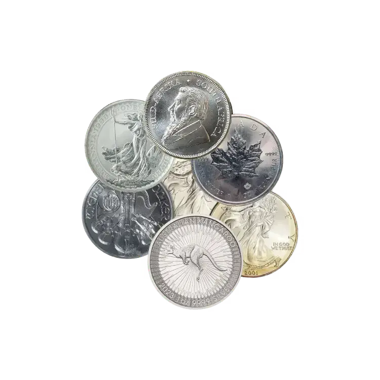 Circulated 1 oz beleggingsmunt zilver