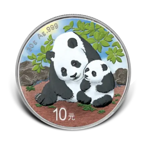 30 gram zilveren munt Panda 2024 gekleurd voorkant
