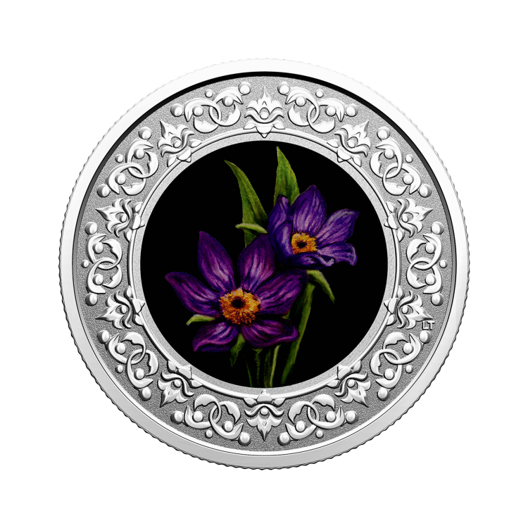 Zilveren munt Bloemenemblemen van Canada Manitoba Prairie Crocus voorkant