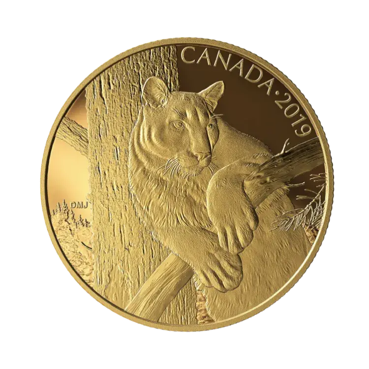 35 grams Golden Proof Coin Canadian Cougar 2019 front