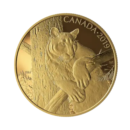 35 grams Golden Proof Coin Canadian Cougar 2019 front