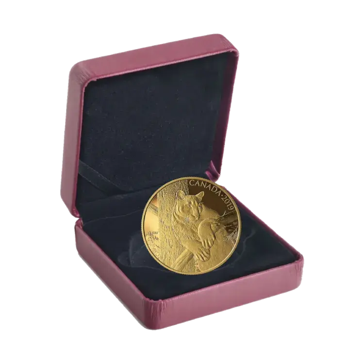 35 grams Golden Proof Coin Canadian Cougar 2019 angle 1