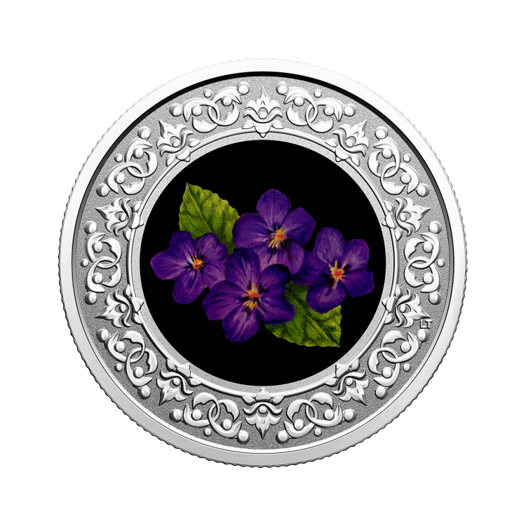 Zilveren munt Bloemenemblemen van Canada Purple Violet voorkant