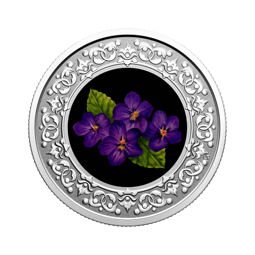 Zilveren munt Bloemenemblemen van Canada Purple Violet voorkant
