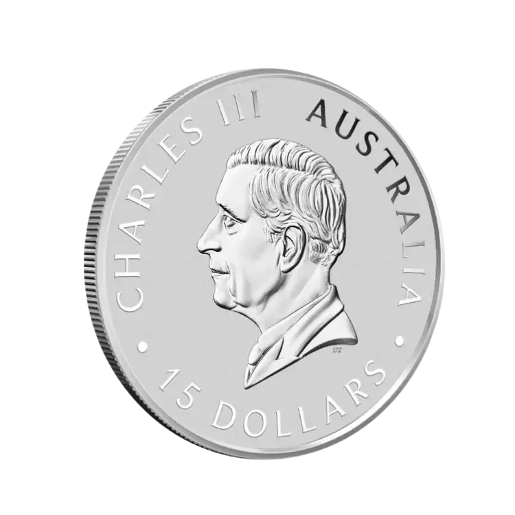 1/10 troy ounce platinum Koala coin 2024 back