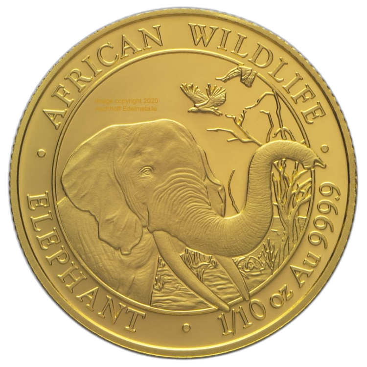 1/10 Troy ounce gouden munt Somalische Olifant front