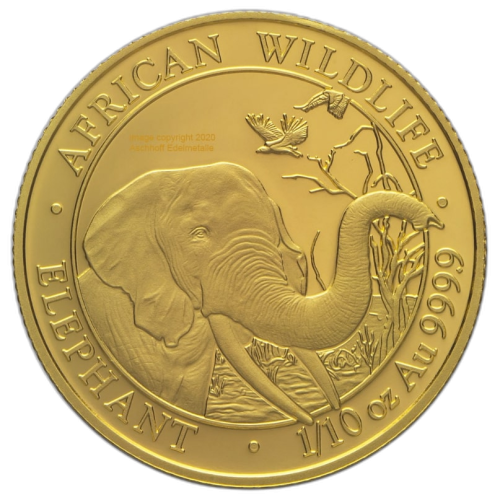 1/10 Troy ounce gouden munt Somalische Olifant front