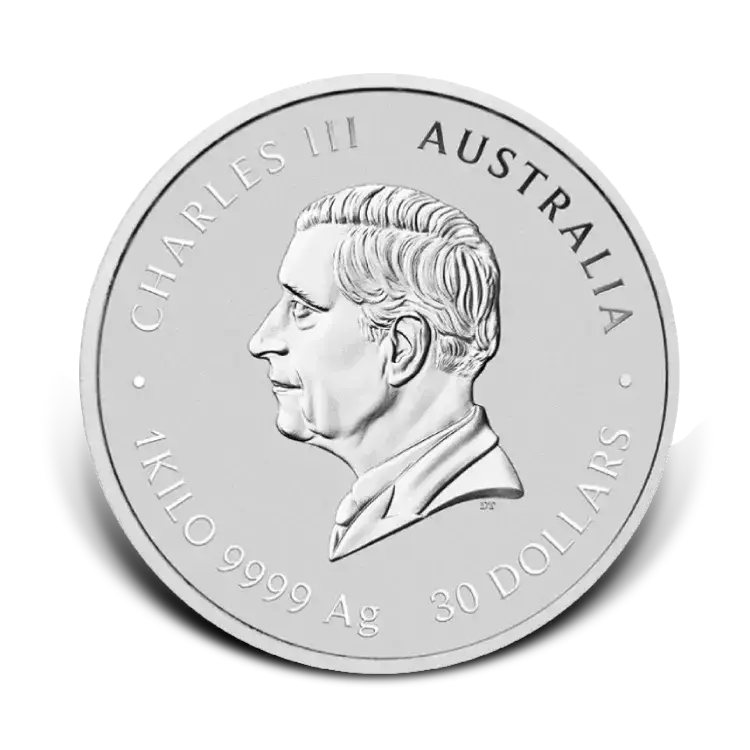 1 kilo zilveren Lunar III munt - Year of the Goat 2027 achterkant