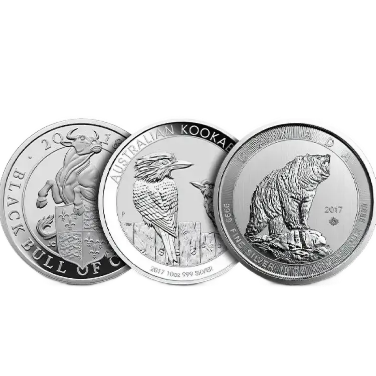 10 oz silver coins