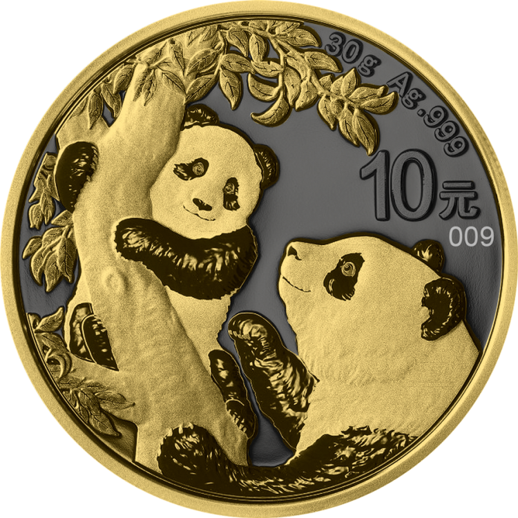 30 Gram zilveren munt Golden Ring - Panda 2021 voorkant