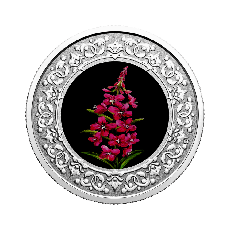Silver coin Flower emblems of Canada Fireweed front