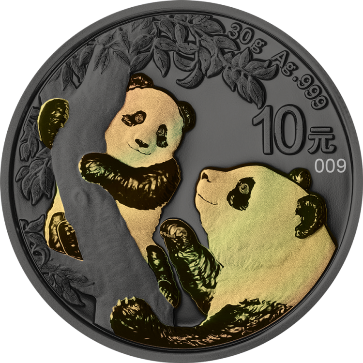 30 grams silver coin golden holo series Panda 2021 front