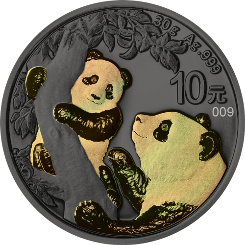 30 grams silver coin golden holo series Panda 2021 front