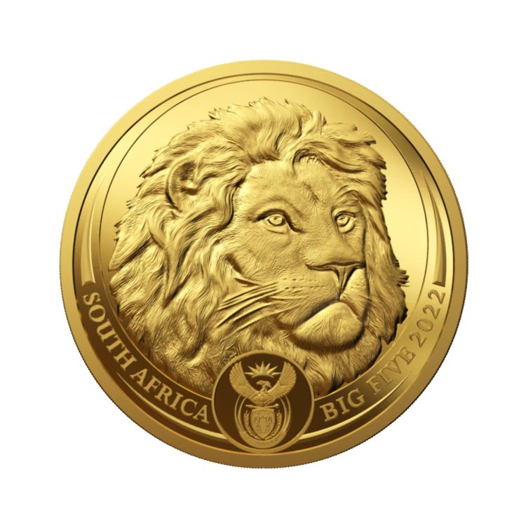 1/4 troy ounce gouden munt Big Five leeuw 2022 voorkant