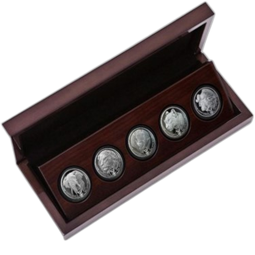 Set 1 troy ounce zilveren munten African big 5 voorkant