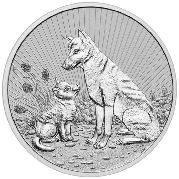10 troy ounce zilveren munt Piedfort Dingo - volgende generatie 2022 voorkant
