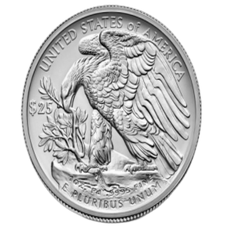 1 Troy ounce palladium coin American Eagle 2017 front