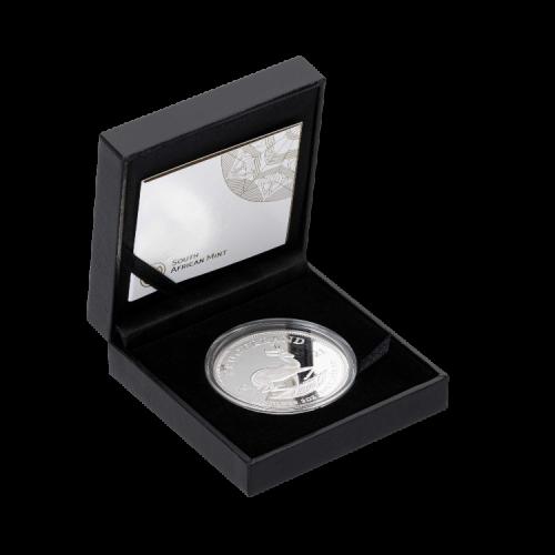 2 troy ounce silver coin Krugerrand Proof 2022 front